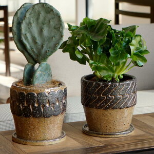 Aؔ  픫 Swell Pot C4342 C4343 3.5 15×h14 ꌊ 󂯎Mt  Jo[ i` _ Vv  O ʑ A\ stem 