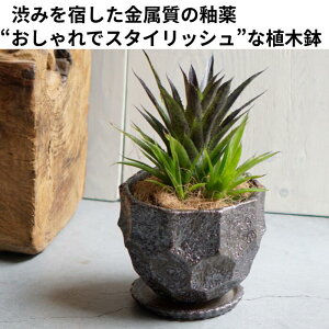 Aؔ  픫 Bitter Pot C2304 3 15×h12^bN Aؔ 3 󂯎Mt ʑ v^[ Jo[ CeA k _ p` ϗtA A ~jϗt fUC 