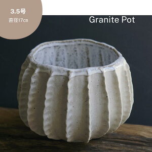 Aؔ  픫 C7317 3.5 17×h13.5 ꌊȂ Jo[  A ϗtA a _  stem 