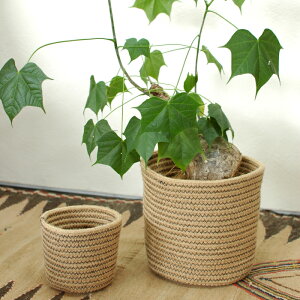Aؔ  oXPbg Rib Basket B8204 B8205 3 5 13×h12 20×h20  Jo[ W[g  킢 i` _ CeA y  Vv stem 