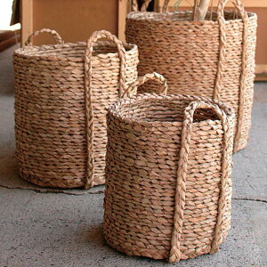 Aؔ  Jo[ oXPbg Lush Basket B9260 B9261 B9262 8 10 12 34 42 50  AWAG i` _ CeA y  Vv ی` stem 