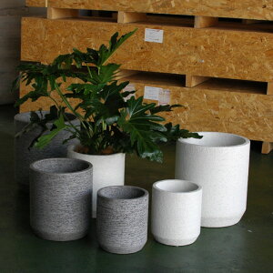 Aؔ p ^  Zg  Eco Stone F1801 F1802 F1803 6 8 10 25 32 40 White Gray ꌊȂ Jo[ _ i` Vv  V_[ stem 