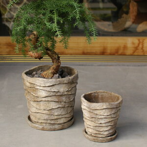 Jo[ 5  Zg  F1818 F1819 3 5 a14cm×13.5cm a20cm×19cm 󂯎Mt ꌊ  Jo[ |bg K[fjO CeA  O stem 