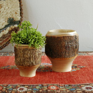 Aؔ  ؐ Mango Wood Pot W2702 W2703 |bg 3.5 13 17 ꌊȂ  Jo[ i`  ό` stem 