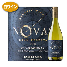 ＼ 5/22までP3倍! ／ ワイン 白 シャルドネ カサブランカ ヴァレー 2022 ノヴァスチリ オーガニック 辛口