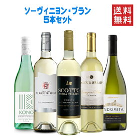 ＼4/30までP3倍！／ ワインセット 白 送料無料 柑橘とハーブ香る ソーヴィニヨン ブラン 飲み比べ 5本セットフランス スペイン ニュージーランド カリフォルニア チリ