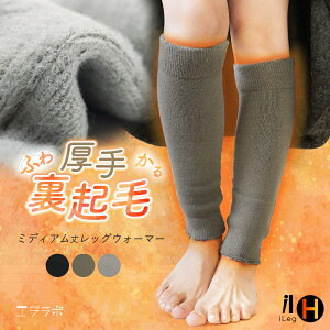 bOEH[}[ ~p ~fBA N g St AEghA fB[X Y   K G T|[^[  H~ h΍ ₦ ₦ ۉ  