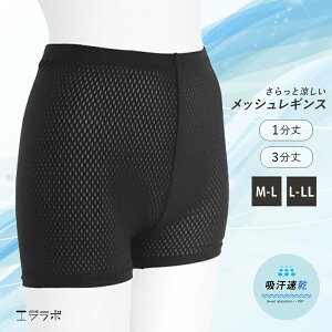 MX fB[X  bV  N[ Ci[MX 1 3 z Xpbc 傫TCY Ci[pc  hC X|[c W K EH[LO V[gM