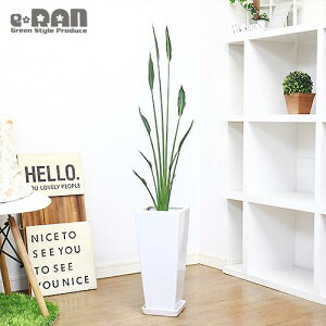 観葉植物 陶器鉢の人気商品 通販 価格比較 価格 Com
