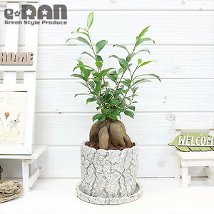 N̗ǂlC̐lQKW} Zg|bgy萔̔zǗt Mt 엿܃v[g N ϗtA ̓y KW} 򍪐A オ  jWKW}