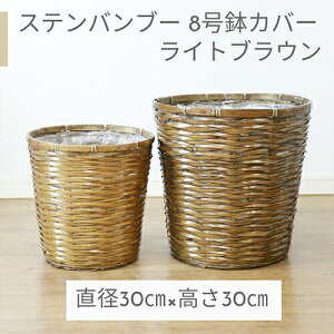 Jo[ 8p Xeou[ CguEy󂯎Mv[gEzRf lC   AWA  킢 65-408 ICXe [Jo[  J