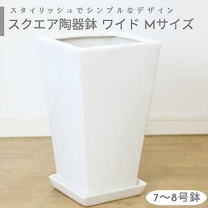 XNGA픫 MTCY Chy󂯎Mt lbgtz^ Vv ȐAؔ  p^   p fUC 8 9 c A   zCg |