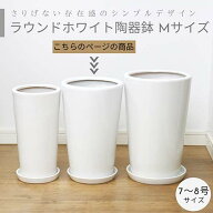 Mサイズ 受け皿付き 鉢底ネット付き 中型 プランツ用 観葉植物 ラウンド陶器鉢 7号鉢 8号鉢 ※同梱不可 …
