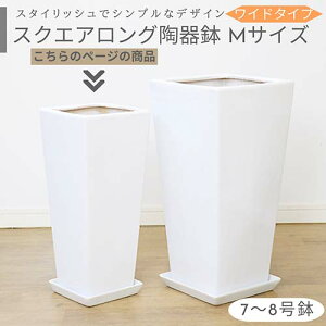 鉢 陶器鉢 白 8号」の人気商品一覧 | 安い商品を通販サイトから探す 