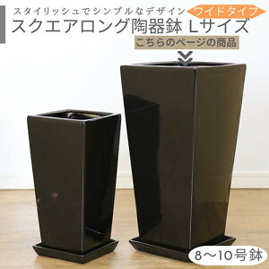 XNGAO픫 Ch LTCY ubNy󂯎Mt lbgtz^ ^ Vv ȐAؔ  p^   p fUC 8 9 10 c 