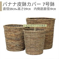 バナナ皮 鉢カバー 7号鉢【受け皿プレゼント・送料無料】 自然素材 人気 おすすめ おしゃれ 鉢 北欧 かわ…