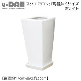スクエアロング陶器鉢 Sサイズ 選べる2カラー【受け皿付 鉢底ネット付】 小型 中型 シンプル おしゃれな植木鉢 白 黒 鉢 角型 陶器 穴あり 角鉢 デザイン鉢 6号鉢 7号鉢 ツヤあり 室内鉢 ホワイト ブラック 園芸 ガーデニング ※同梱不可 観葉植物