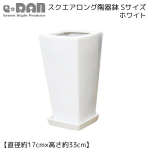 XNGAO픫 STCY Iׂ2J[y󂯎Mt lbgtz ^ ^ Vv ȐAؔ    p^   p fUC 6 7 c  z