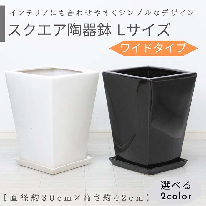 楽天市場】スクエア陶器鉢 Lサイズ ワイド 選べる２カラー