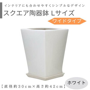 XNGA픫 LTCY Ch Iׂ2J[y󂯎Mt lbgtz^ Vv ȐAؔ  p^  p fUC 8 9 10 c ϗtA  