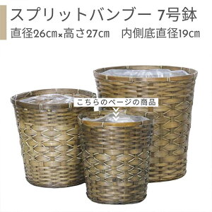 Jo[ 7 Xvbgou[ y󂯎Mv[gEz| ϗtAp Rf lC   AWA ĂÂ 킢  A 7 Ap TCYAw