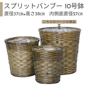 _N[|&|Cg^Jo[ 10 Xvbgou[y󂯎Mv[gEz| ϗtAp Rf lC   AWA ĂÂ 킢  A 10 A