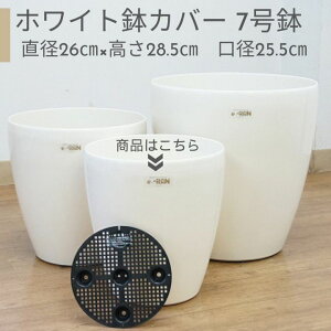 vX`bN Jo[ 7p ItzCg X^[|bg265^ ǗȒP ֗2way 󂯎M͕t܂B lC  s ^ł͂ȂDF̃ItzC