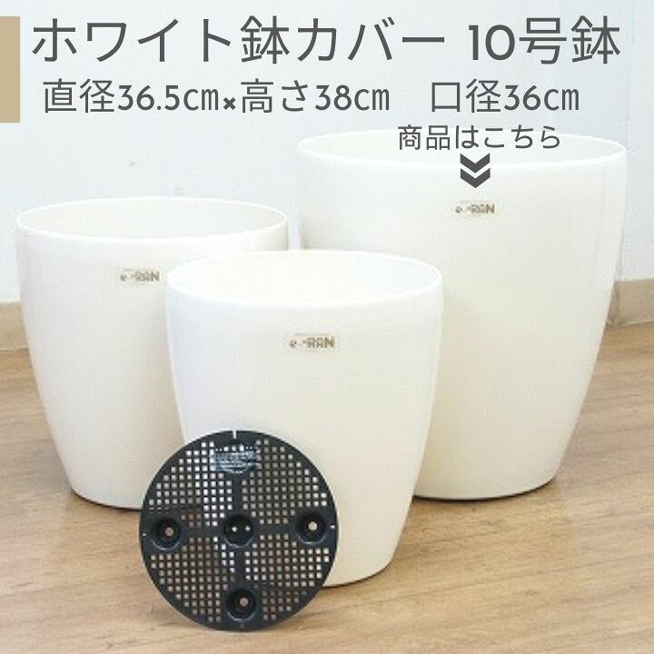 こちらは商品ではなくイメージ写真になります！
