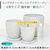 植木鉢 エッグ セメントポット アイボリーグレー 6号鉢 鉢カバー ラウンドS 丸鉢 小型 植木鉢 穴あり 観…