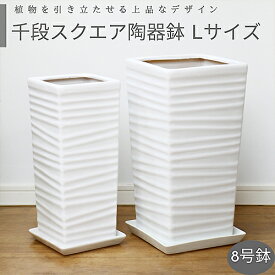 楽天市場 大型 鉢 白の通販 楽天市場 大型 鉢 白の通販