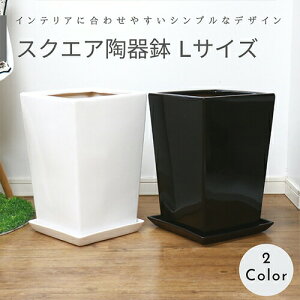 植木鉢 受け皿 大型 Diy 工具の人気商品 通販 価格比較 価格 Com