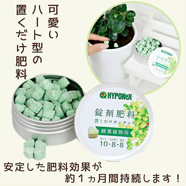 楽天市場 観葉植物用 肥料 ハート型 錠剤肥料 簡単鉢の上に置くだけ Hyponex Hyponex園芸用品 園芸グッズ ハート肥料 ポイント消化hyponex ハイポネックス ジャパン かわいい園芸用品 簡易包装便 代引き不可 日時指定不可 観葉植物の専門店e Ran