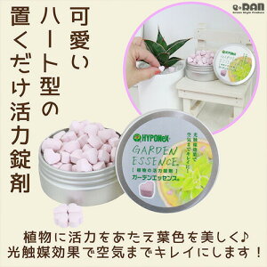 ϗtAp ͏ n[g^ K[fGbZX G}ʁyAƈꏏɂwőzȒP ̏ɒuI |pi |ObY n[g͏ L HYPONeX nC|lbNX 