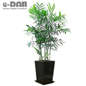 ϗtA ZtWV 픫XNGA Iׂ铩픫   170cmO 10TCY yJ}GhA `}GhA ZtW[ JCGibc ĈՂ lC V̖ |̂悤Ȏp C