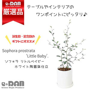 I \tH gxCr[ 픫  Ǘ Mt 엿܃v[g yϗtA w̖ } WOUOׂ̍}ɏۂt ȐԂ̖ e[uO[