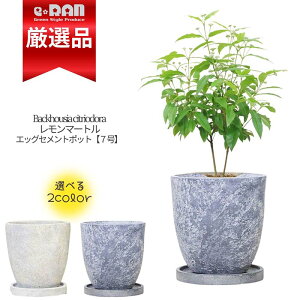 _|Cg5{^lC̃n[u }[g7GbOZg|bg 60cmO yIʌ̔z Mtg K[f ϗtA A} c 背̍肪A n[