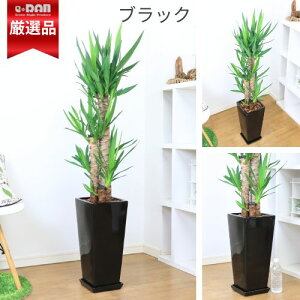 yʌ̔z ϗtA ^ bJ Gt@eByX 9TCY 130`140cm IׂXNGAO픫   lC̃X^CbVȐN̖ Ǘ Mt 엿܃v