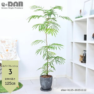 yIׂ錻izGo[tbV 65`125cm GbOZg|bg 7TCY ȊϗtA  R` Ȃ` AJTlmL ̖ vwa Ɠa t