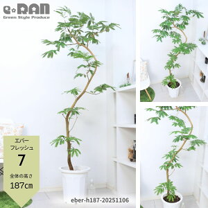 _|Cg5{^yIׂ錻izGo[tbV 10 ł 傫  Ȃ` R` lC ϗtA rO  j Vzj JXj AJTlmL 