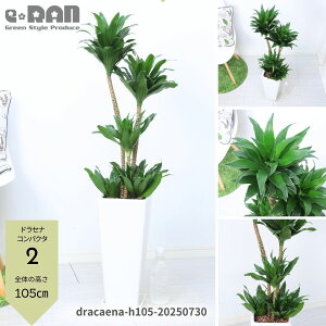 yIׂ錻izϗtAhZi RpN^ 픫   7 8TCY 70`120cm Eh XNGA p ۔ Ă₷ hZi [lbL[ ␫hZi fVX 