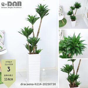yIׂ錻izϗtAhZi RpN^ 픫   7 8TCY 70`120cm Eh XNGA p ۔ Ă₷ hZi [lbL[ ␫hZi fVX 