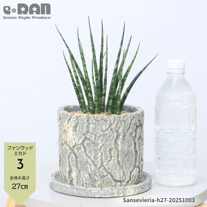 yIׂ錻izϗtA lC̕i TXxA 5TCY yoLXEOVXEt@Ebh~Jhz 25~50cmO GbO Zg|bg Ă₷ gmI Ղ̔ 