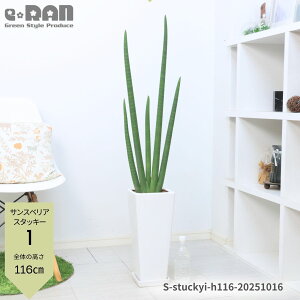 _|Cg2{^yIׂ錻izTXxA X^bL[(VhJ) 100`110cmO 픫   Mt 7TCY ϗtA ɑ LhJ cc`gZ {[