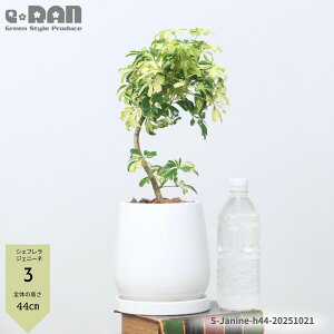 yIׂ錻izϗtA VFt WFj[l 픫 40`60cm Ȃ` tJ|bN }ς ̔̂悤Ȍ`  i[^  n[g[t ~ I 