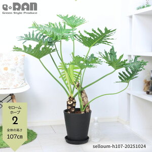 yIׂ錻iziDǂ オ Z[ z[v 8 100`150cm tBfh ϗtA ^ qgfJY  ɋ ϊ ωA ̖ ZE C Tg