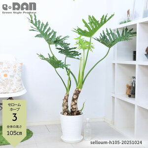 yIׂ錻iziDǂ オ Z[ z[v 8 100`150cm tBfh ϗtA ^ qgfJY  ɋ ϊ ωA ̖ ZE C Tg