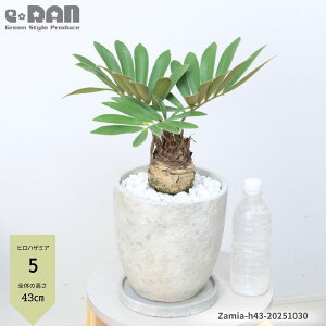 yIׂ錻iz\ec qnU~A 30`63cm GbOZg|bg 6`7TCY _uwbhL t  ϗtA LVR\ec U~A ttPA v~ L