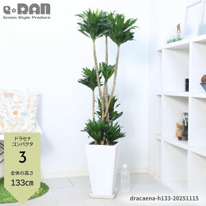 yIׂ錻izϗtA ^hZi RpN^ 픫 9TCY 125`160cm XNGA p Eh ۔ Ă₷ hZi [lbL[ ␫hZi fVX  x