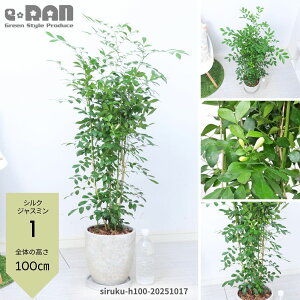 yIׂ錻izԉEԁEt VNWX~ 80~100cm GbOZg|bg 7 ϗtA Ԗ A} VN WX~iQbLcjԌt́uȐSv  l