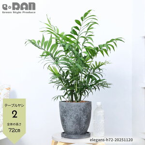 yIׂ錻izlC̃e[uVi`hAEGKXj7TCY 60`70cm GbOZg|bg Mt Ǘ 엿܃v[g p[[V GKXp[